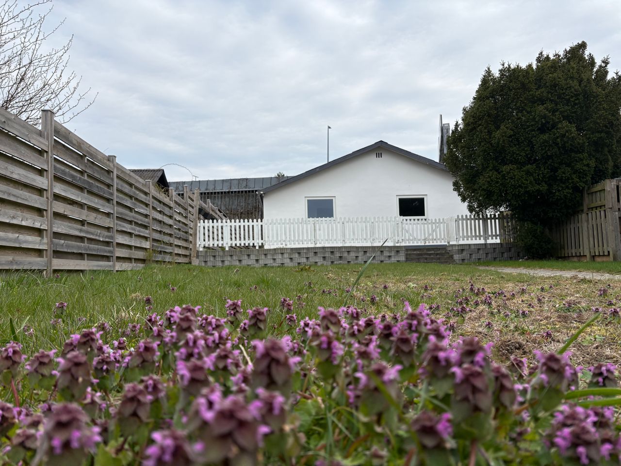 image 01